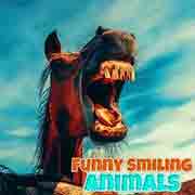 لعبة الحيوانات المبتسمة اللطيفة Funny Smiling Animals
